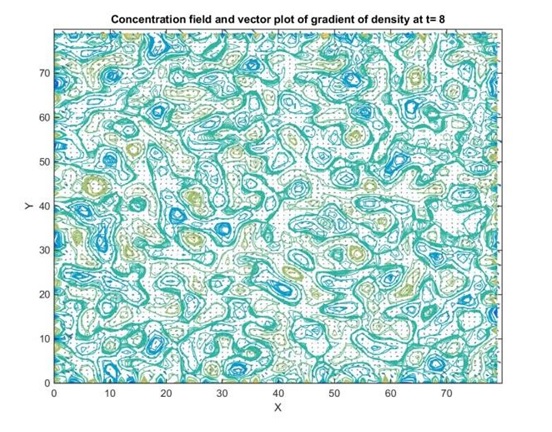 Concentration field and vector plot of gradient of density at t8